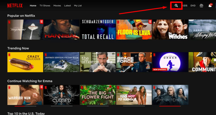 netflix search section