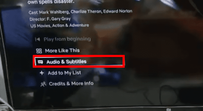 audio and subtitle settings on netflix